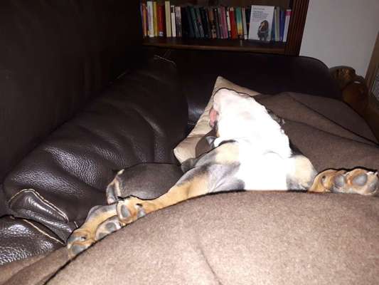 Die unbequemsten und lustigsten Schlafpositionen-Beitrag-Bild