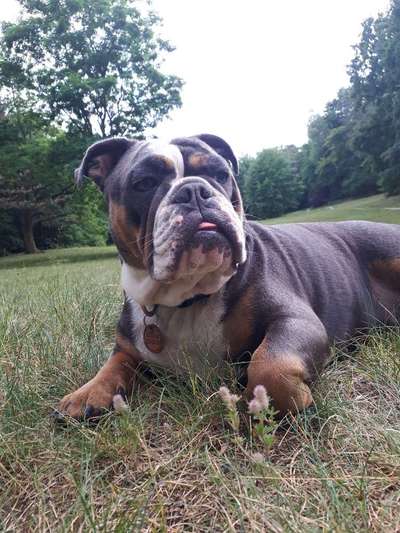 Vorher.... Nachher-Beitrag-Bild