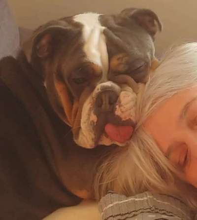 KUSCHEL PARTNER-Beitrag-Bild