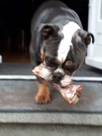 Un...scharf Bilder-Beitrag-Bild