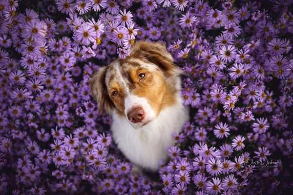 Lieblingsbild-Beitrag-Bild