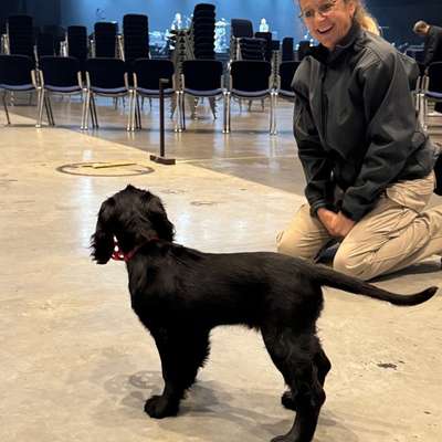 Hundetreffen-Workshop Spürhundearbeit-Bild