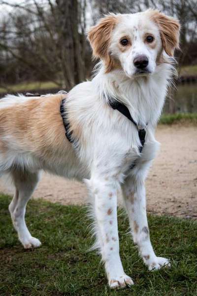 Dogorama Foto Challenge - Wanderziel-Beitrag-Bild