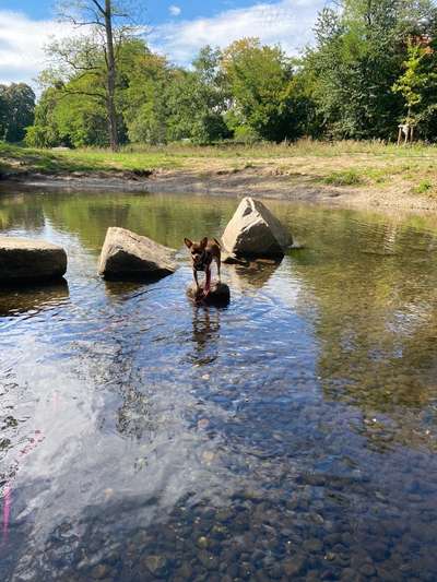 FOTOCHALLANGE NR.71 BADEFREUDE-Beitrag-Bild