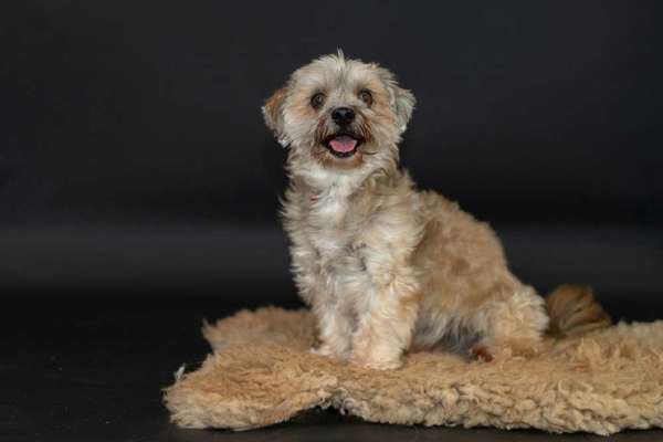 Doppelgänger gesucht !-Beitrag-Bild