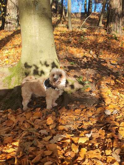 Doppelgänger gesucht !-Beitrag-Bild