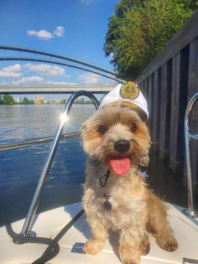 Dogorama Photo Challenge - Tierischer Urlaub-Beitrag-Bild