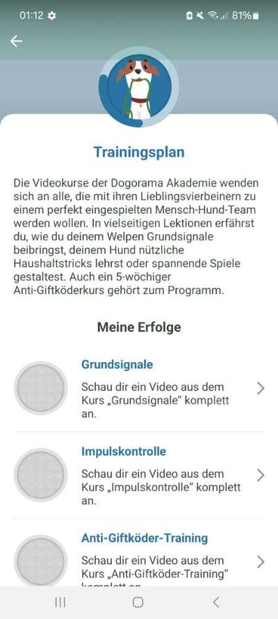 Deine Fragen zum Dogorama Club-Beitrag-Bild