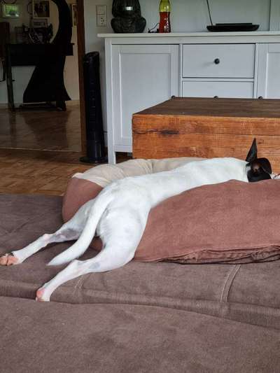 Die unbequemsten und lustigsten Schlafpositionen-Beitrag-Bild