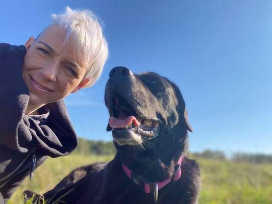 Hundetreffen-Gassi auf Feld und/oder im Wald-Bild