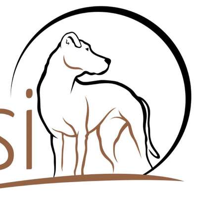 Hundeschulen-B-Lessi | Mobile Hundeschule Sindelfingen/Böblingen & Umgebung-Bild