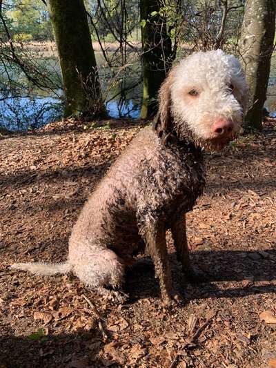 Blick fürs Detail!-Beitrag-Bild