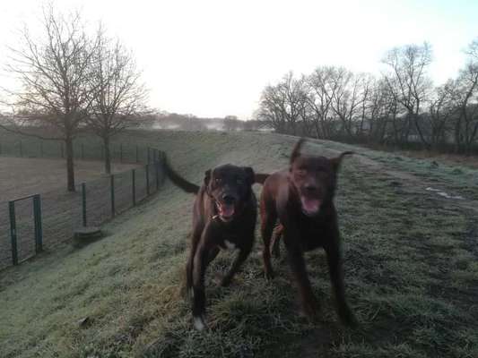 Fotochallenge Nr. 67: Euer Lieblingsbild-Beitrag-Bild