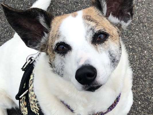 Fotochallange Nr. 57     PORTRÄT.   Beendet!!!!!!!!-Beitrag-Bild