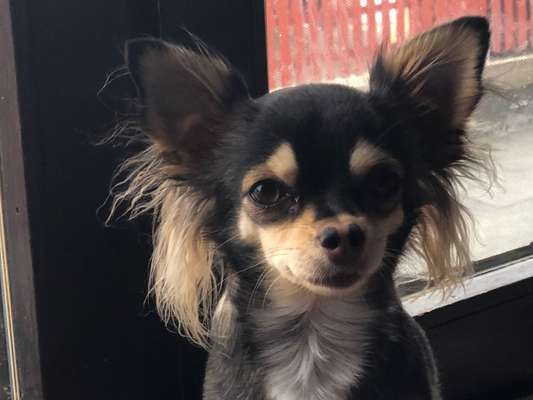 Fotochallange Nr. 57     PORTRÄT.   Beendet!!!!!!!!-Beitrag-Bild