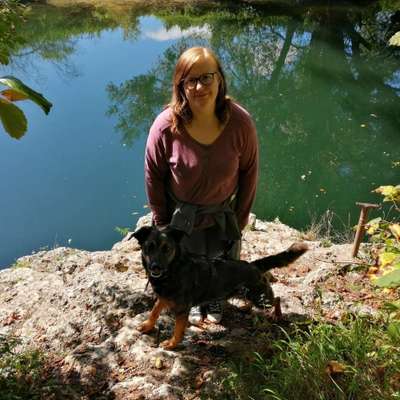 Hundetreffen-Neue Hundefreunde finden