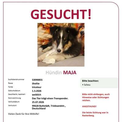 Suchmeldung-Maja-Bild