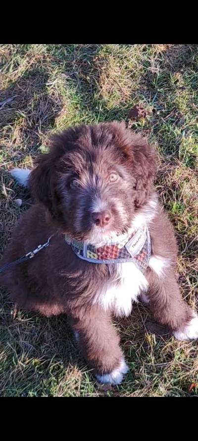 Lieblingsbild-Beitrag-Bild