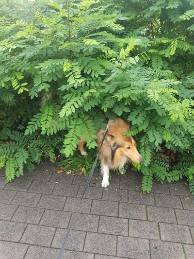 Fotowettbewerb Natur-Beitrag-Bild