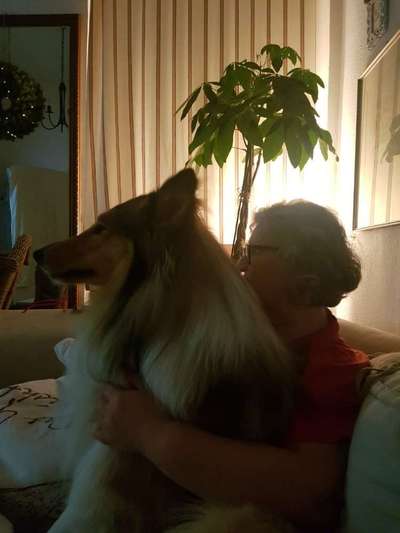 Dogorama Photo Challenge - Selfie Time!-Beitrag-Bild