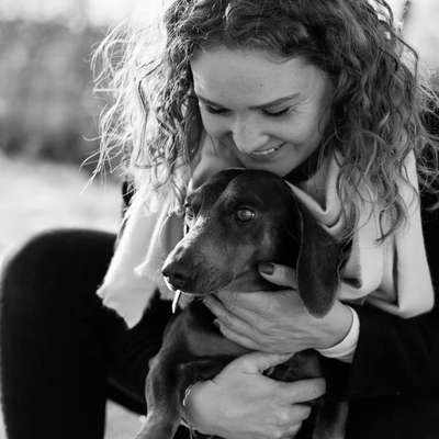 Hundetreffen-Gemeinsame Gassirunde-Profilbild