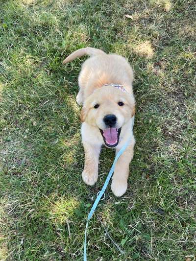 Fotochallange Nummer 5-Beitrag-Bild