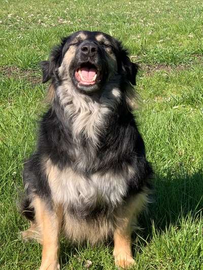 Lieblingsbild-Beitrag-Bild