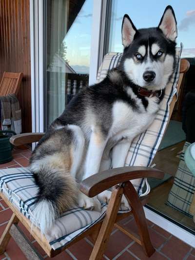 Lieblingsbild-Beitrag-Bild