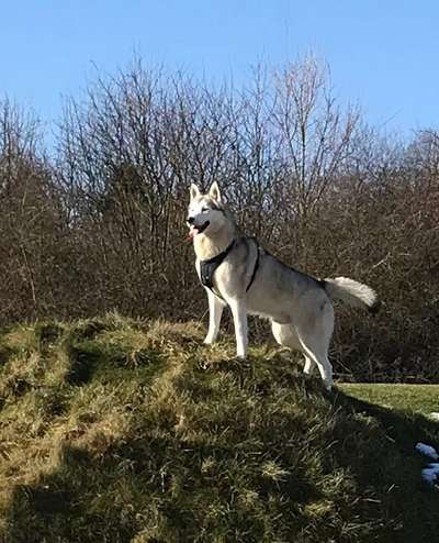 Lieblingsbild-Beitrag-Bild