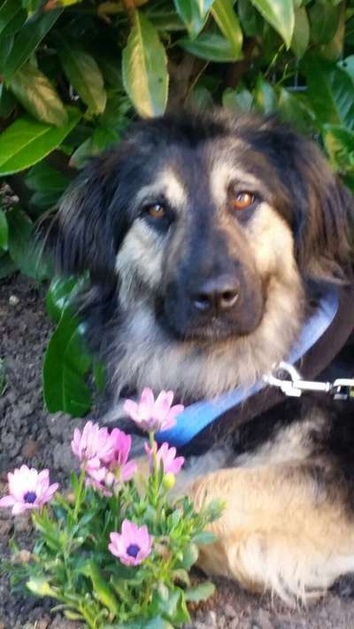 Lieblingsbild-Beitrag-Bild