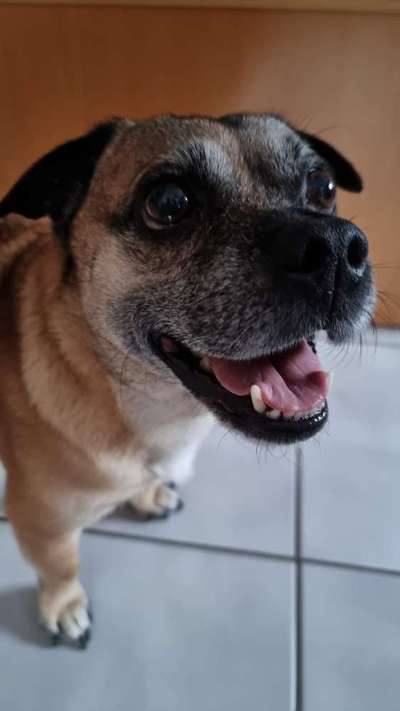 Zeigt eure Portraits-Beitrag-Bild