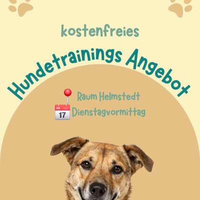 Hundetreffen-kostenfreies Einzeltraining für Mensch-Hund-Teams-Bild
