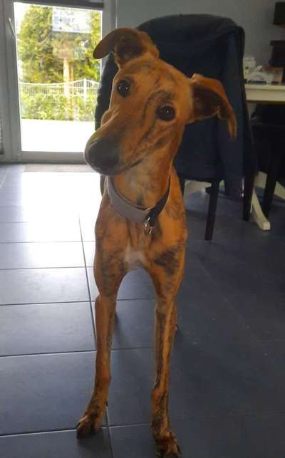 Lieblingsbild :D-Beitrag-Bild