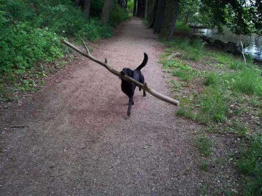 Lieblingsbild :D-Beitrag-Bild