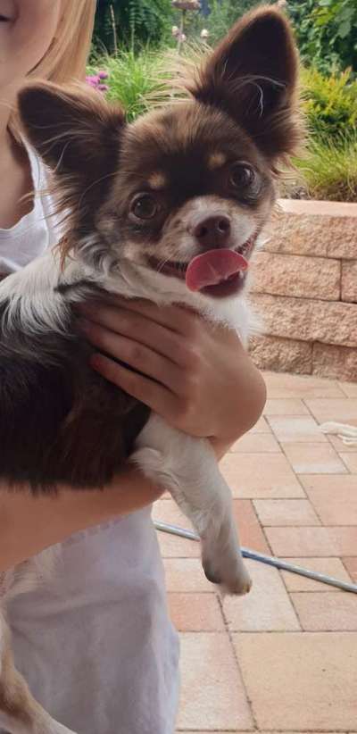 Nicht ganz alltägliche Hundenamen.
Wie kreativ wart ihr?-Beitrag-Bild