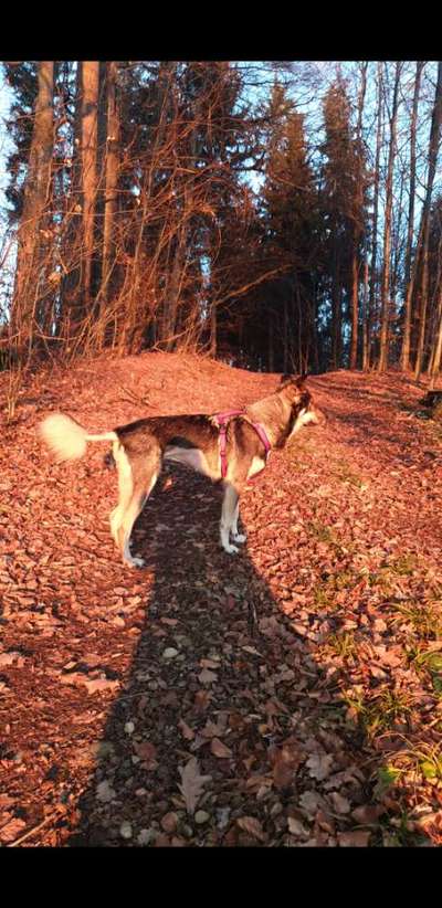 Foto Challenge Nr. 79-Beitrag-Bild