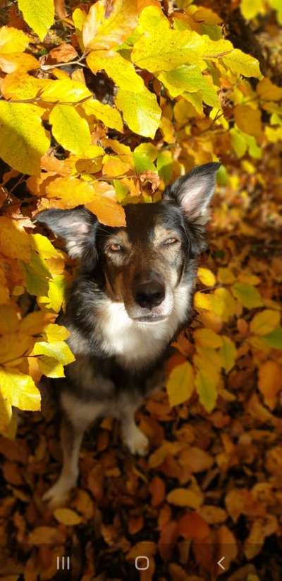 Austausch zur Fotografie-Beitrag-Bild