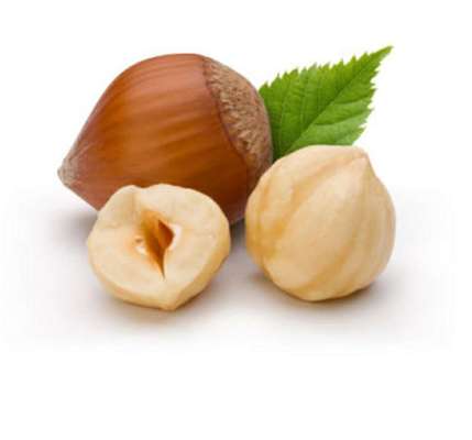 Wie heißt dein Hund?-Beitrag-Bild