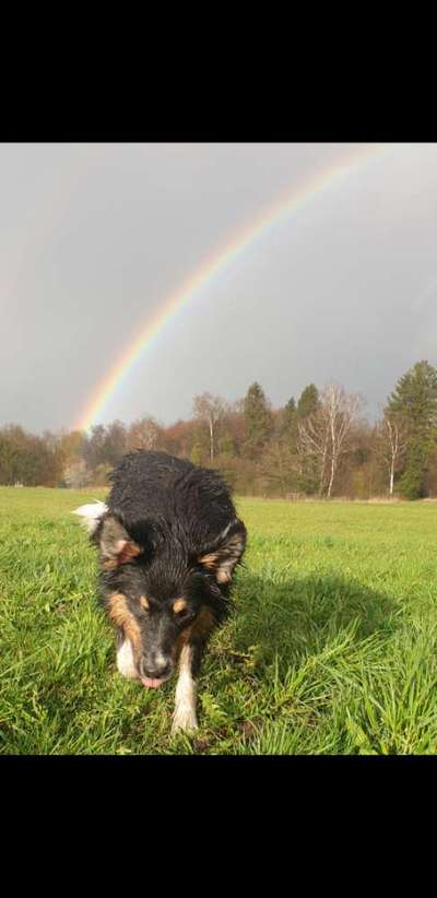 24. Farben Fotochallenge / Regenbogenfarben oder so bunt wie möglich!-Beitrag-Bild