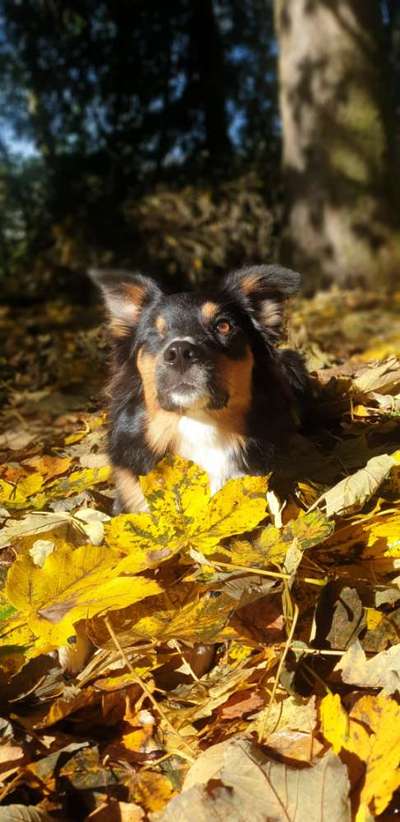 Austausch zur Fotografie-Beitrag-Bild