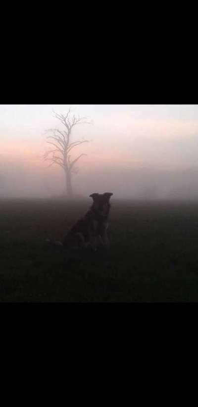 26. Farben Fotochallenge "Herbstfarben"-Beitrag-Bild