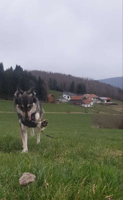 Fotochallenge Nr. 64-Beitrag-Bild