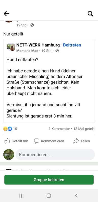 Entlaufener Hund suchen, oder nicht?-Beitrag-Bild