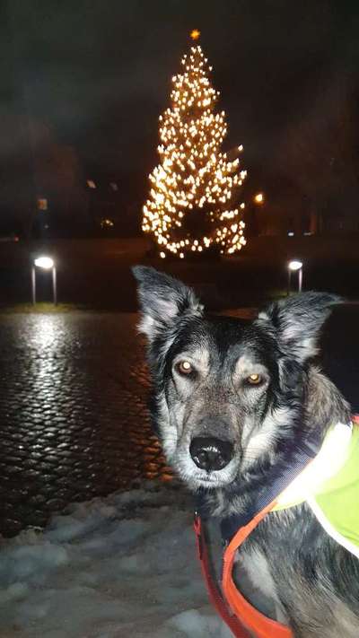 21. Farben / Foto Challenge - Neon / Leuchtfarben-Beitrag-Bild