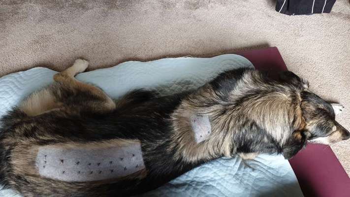 Goldakupunktur Erfahrung-Beitrag-Bild