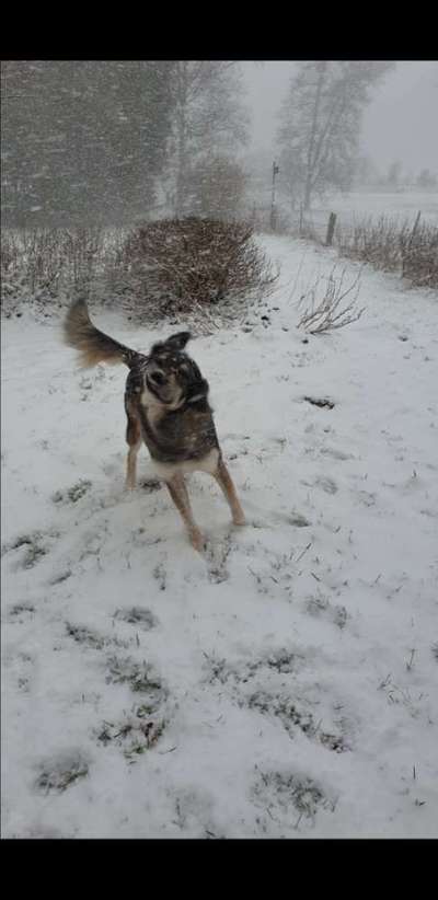 Un...scharf Bilder-Beitrag-Bild