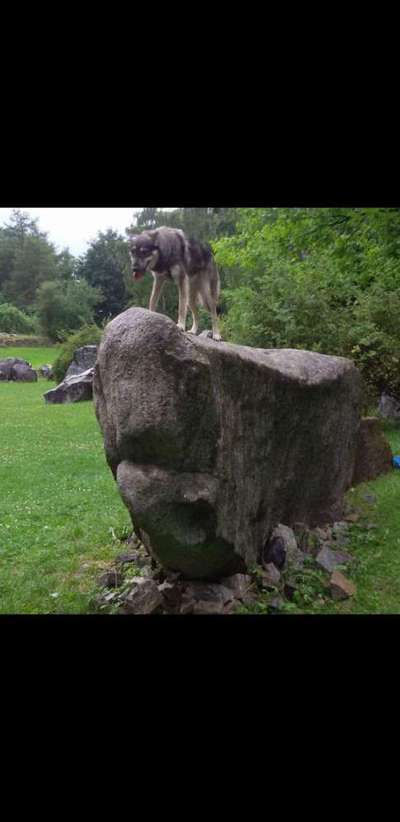 57. Handy Foto Challenge - klettern-Beitrag-Bild