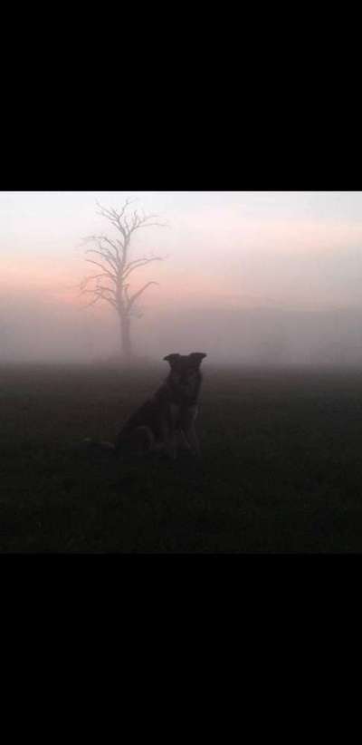 Un...scharf Bilder-Beitrag-Bild