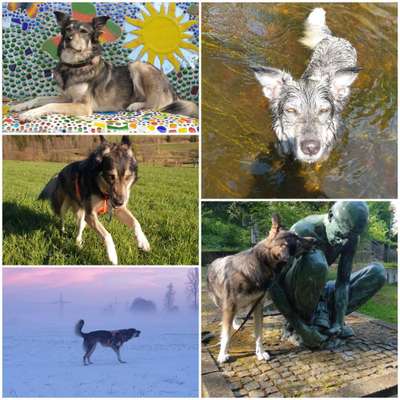 48. Collagen Challenge: Das Leben ist bunt-Beitrag-Bild