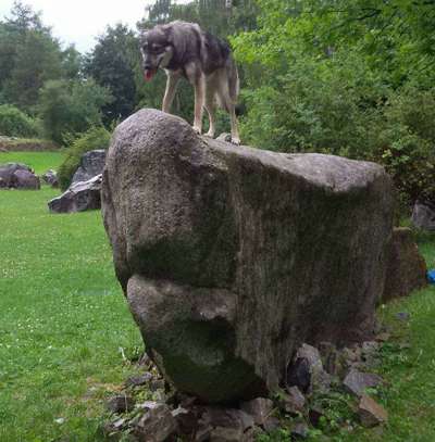 Moviestar-Pics!-Beitrag-Bild